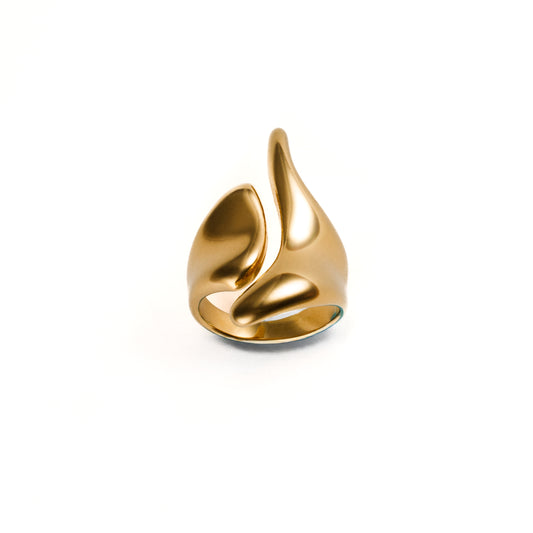 Anillo de onda